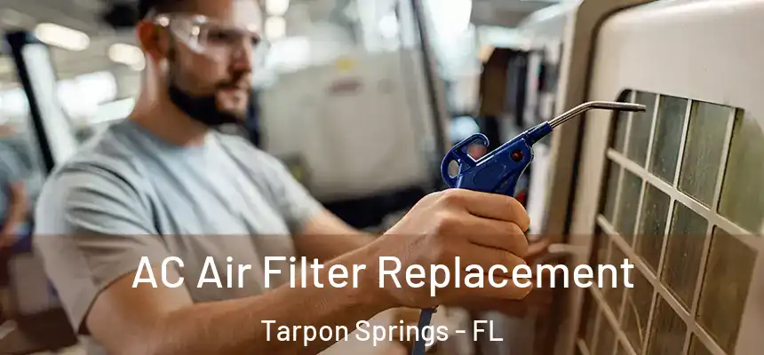 AC Air Filter Replacement Tarpon Springs - FL