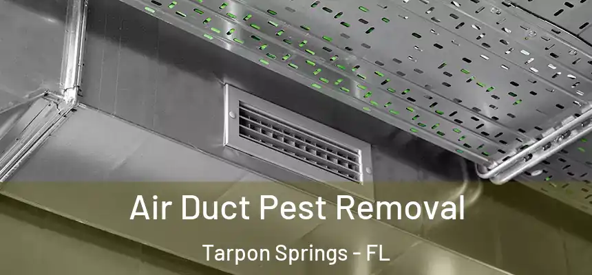 Air Duct Pest Removal Tarpon Springs - FL