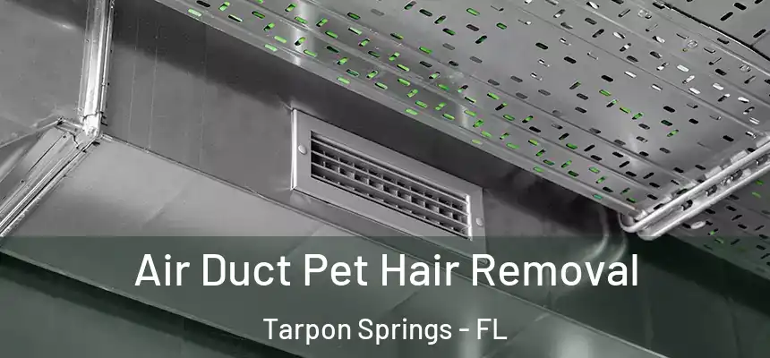 Air Duct Pet Hair Removal Tarpon Springs - FL