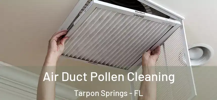 Air Duct Pollen Cleaning Tarpon Springs - FL