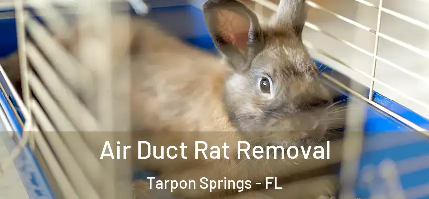 Air Duct Rat Removal Tarpon Springs - FL