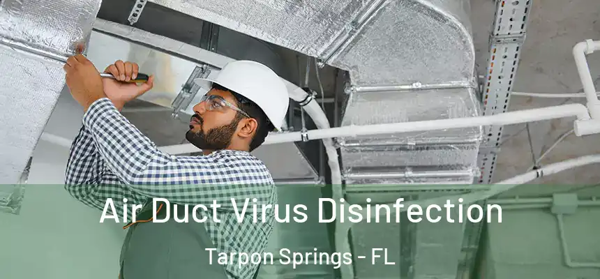 Air Duct Virus Disinfection Tarpon Springs - FL