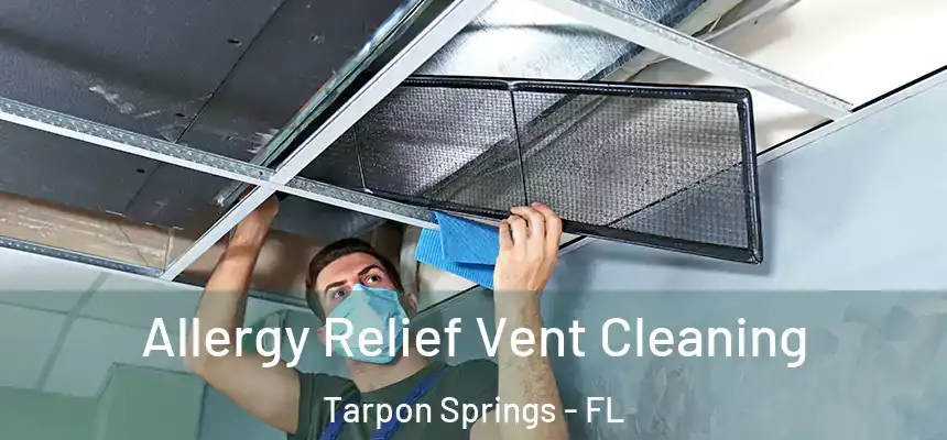 Allergy Relief Vent Cleaning Tarpon Springs - FL