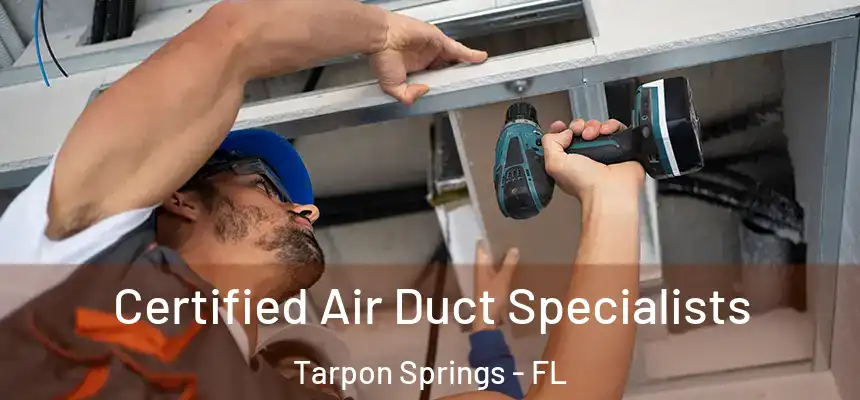 Certified Air Duct Specialists Tarpon Springs - FL