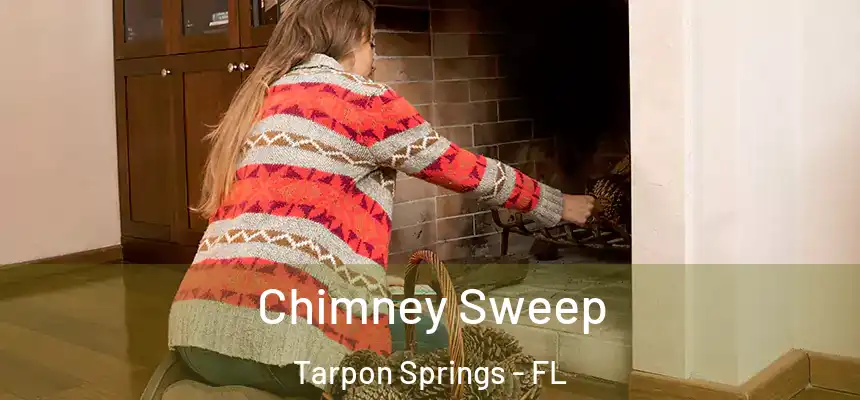 Chimney Sweep Tarpon Springs - FL