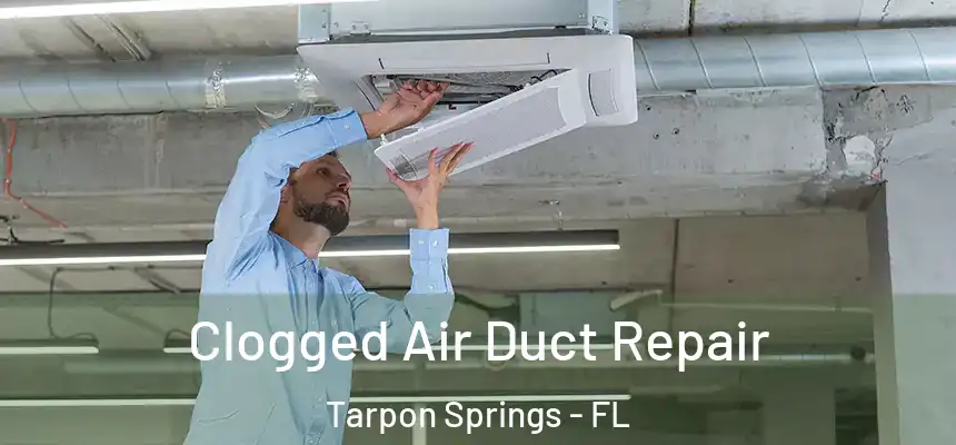 Clogged Air Duct Repair Tarpon Springs - FL