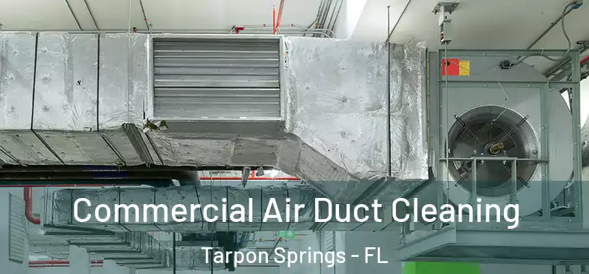 Commercial Air Duct Cleaning Tarpon Springs - FL
