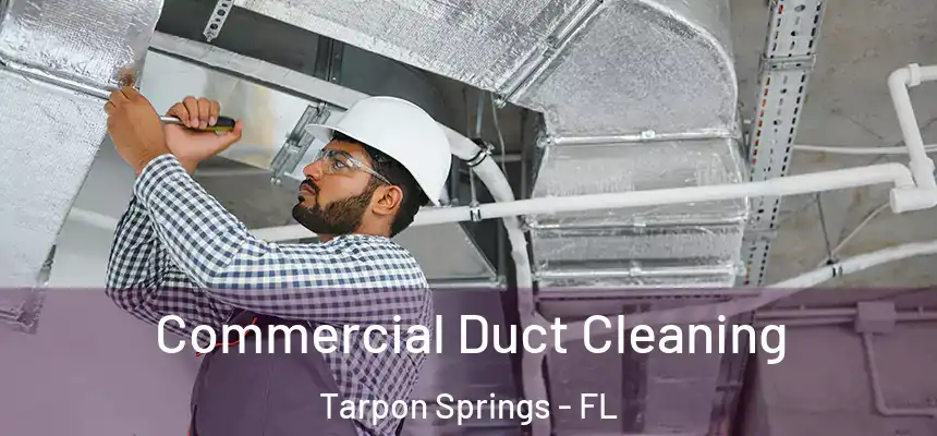Commercial Duct Cleaning Tarpon Springs - FL