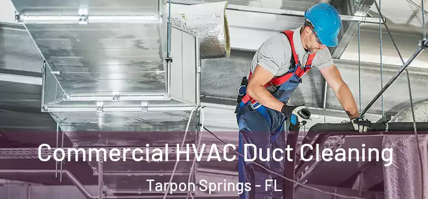 Commercial HVAC Duct Cleaning Tarpon Springs - FL