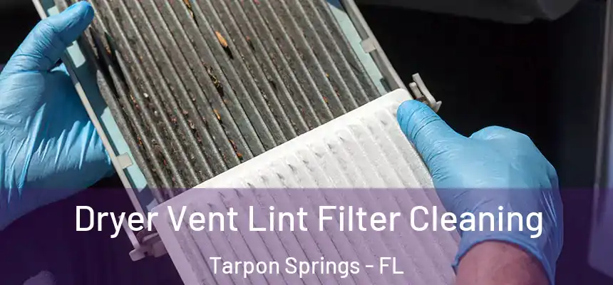 Dryer Vent Lint Filter Cleaning Tarpon Springs - FL