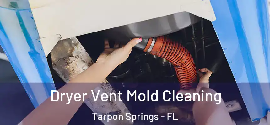 Dryer Vent Mold Cleaning Tarpon Springs - FL