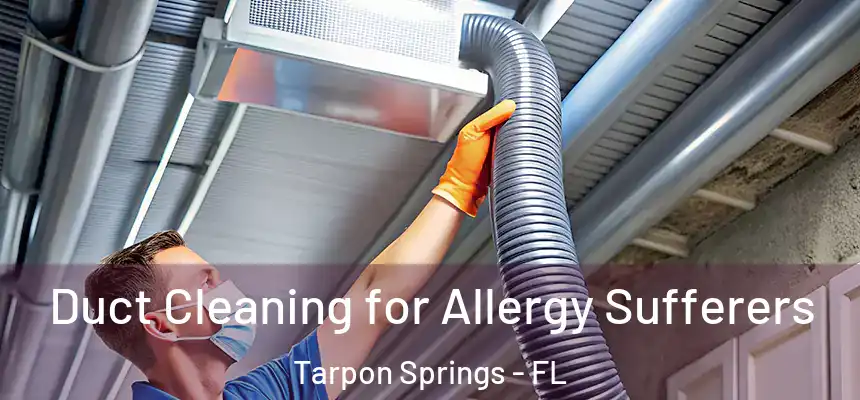 Duct Cleaning for Allergy Sufferers Tarpon Springs - FL