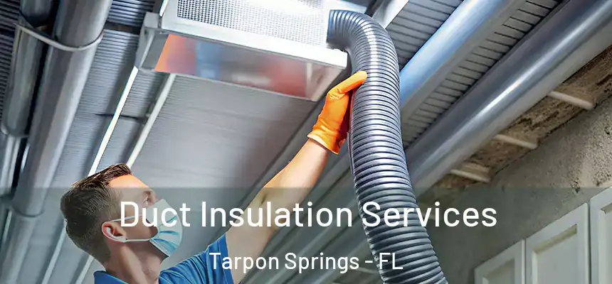 Duct Insulation Services Tarpon Springs - FL