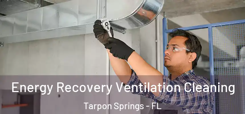Energy Recovery Ventilation Cleaning Tarpon Springs - FL