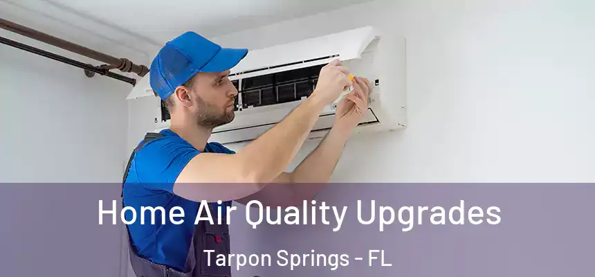 Home Air Quality Upgrades Tarpon Springs - FL
