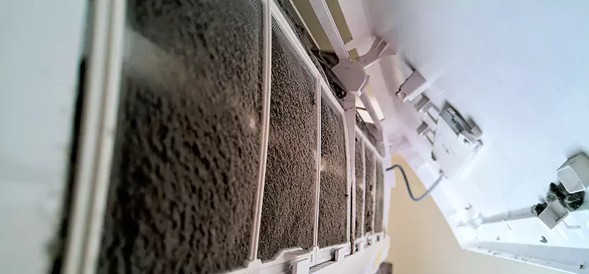 Preventive Air Duct Bacteria Removal in Tarpon Springs