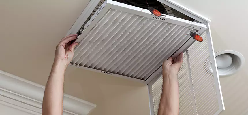 Our Insect Removal from Air Ducts Services in Tarpon Springs, FL