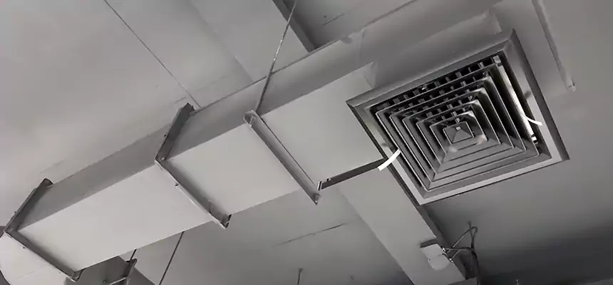 Our Pest Removal From Ducts Services in Tarpon Springs, FL