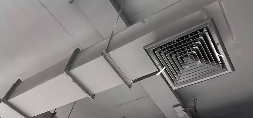 Our Rodent Droppings In Vents Services in Tarpon Springs, FL