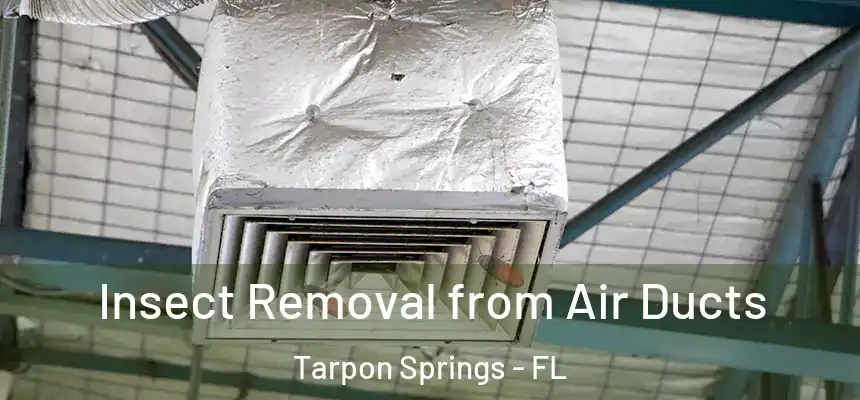 Insect Removal from Air Ducts Tarpon Springs - FL