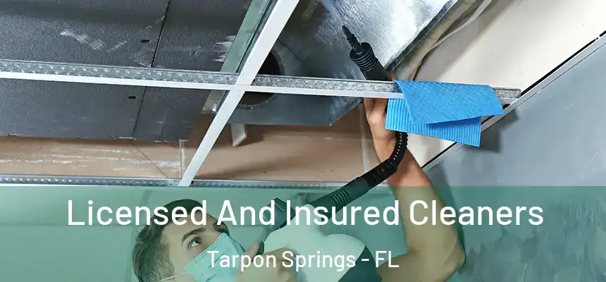 Licensed And Insured Cleaners Tarpon Springs - FL
