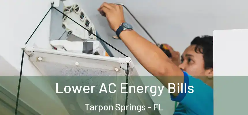Lower AC Energy Bills Tarpon Springs - FL