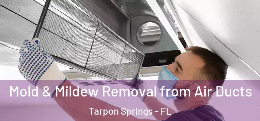 Mold & Mildew Removal from Air Ducts Tarpon Springs - FL
