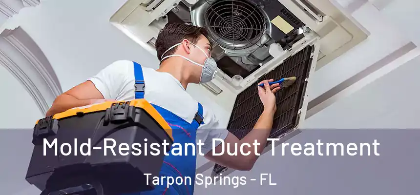 Mold-Resistant Duct Treatment Tarpon Springs - FL