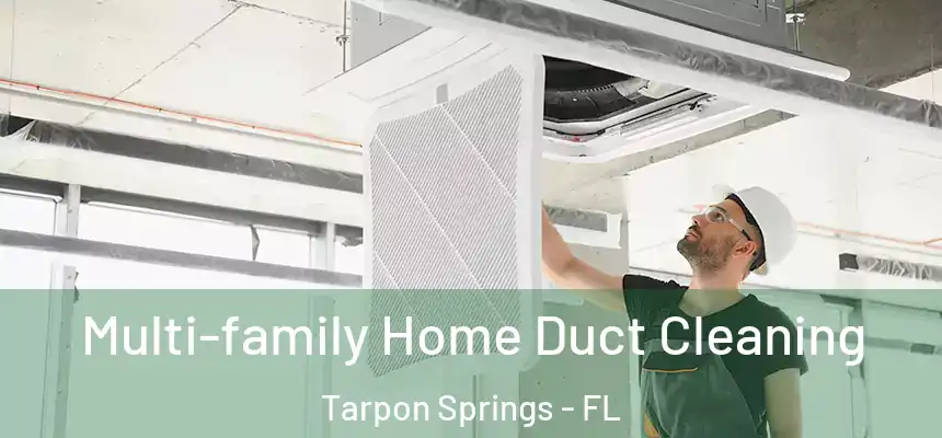 Multi-family Home Duct Cleaning Tarpon Springs - FL