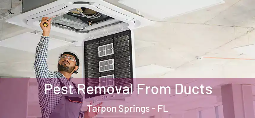 Pest Removal From Ducts Tarpon Springs - FL