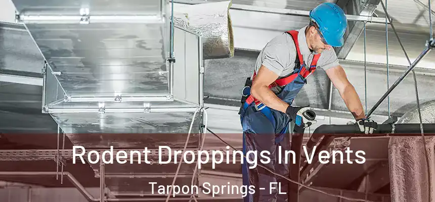 Rodent Droppings In Vents Tarpon Springs - FL
