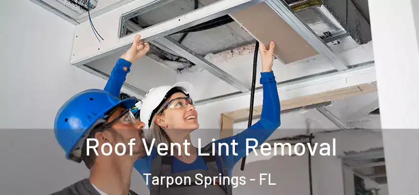 Roof Vent Lint Removal Tarpon Springs - FL