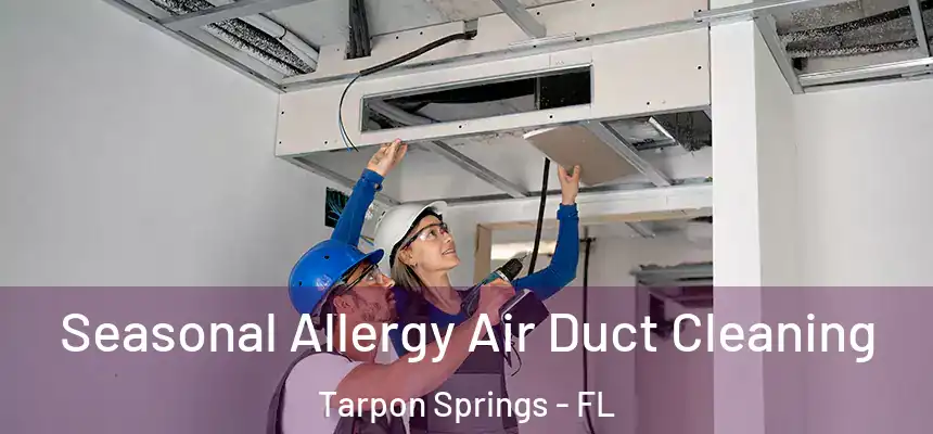 Seasonal Allergy Air Duct Cleaning Tarpon Springs - FL
