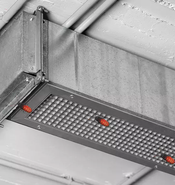 About Air Duct Cockroach Removal in Tarpon Springs, FL