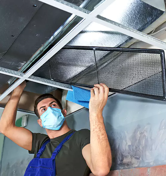 Professional Air Duct Pollen Cleaning in Tarpon Springs, FL