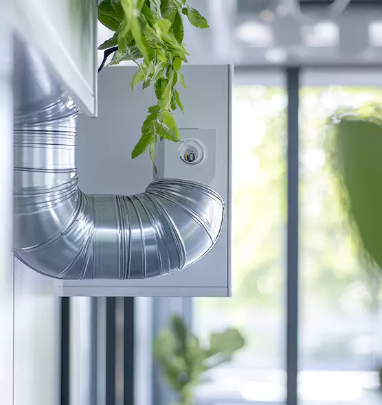 Professional Eco-Safe Dryer Vent Cleaning in Tarpon Springs, FL