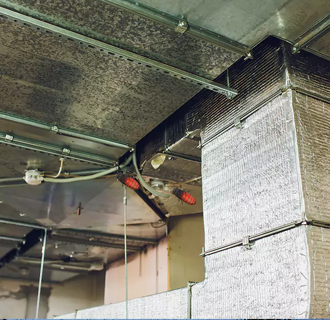 Why Homeowners & Businesses Trust Us in Tarpon Springs, FL?