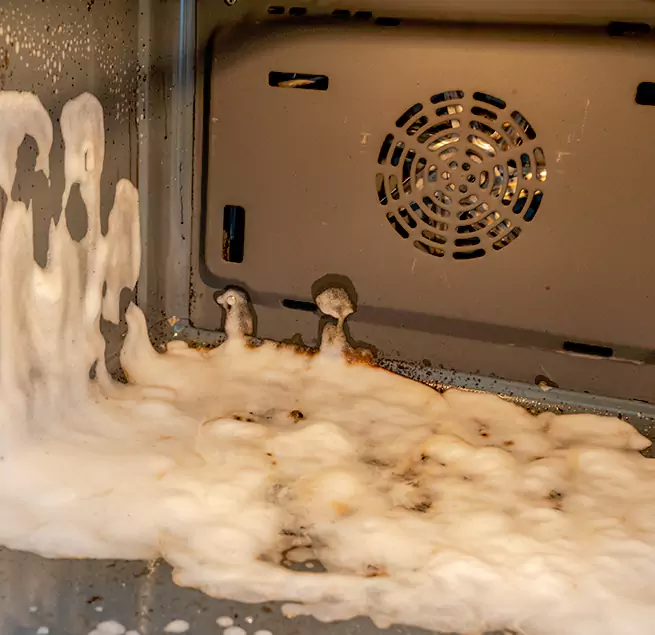 Why Homeowners & Businesses Trust Us in Tarpon Springs, FL?