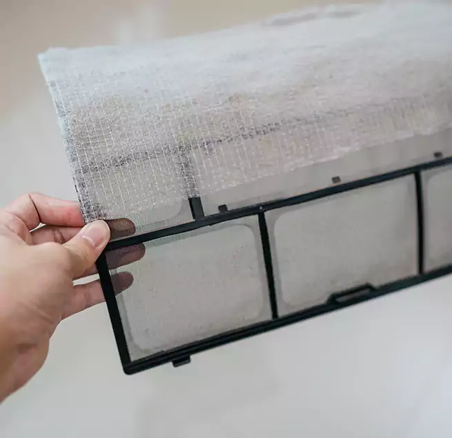 Why Homeowners & Businesses Trust Us in Tarpon Springs, FL?