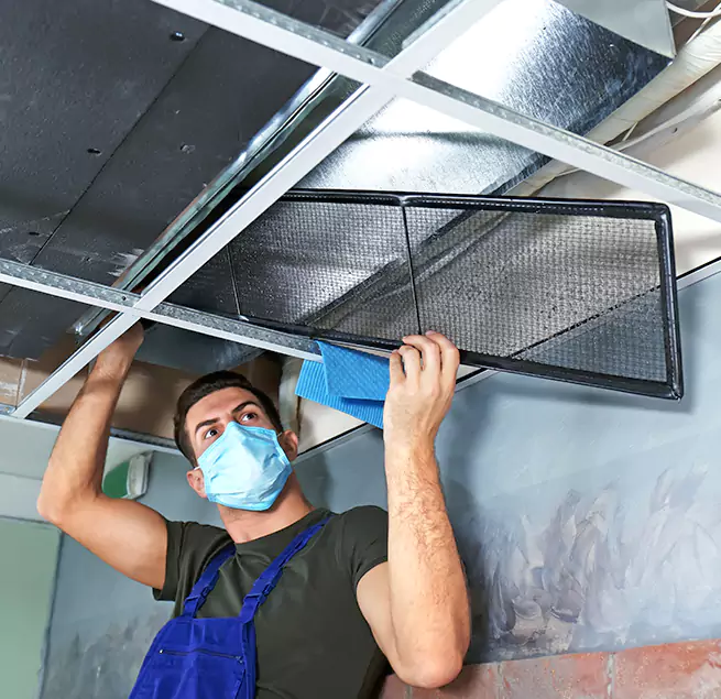 Why Homeowners Businesses Trust Us in Tarpon Springs, FL?