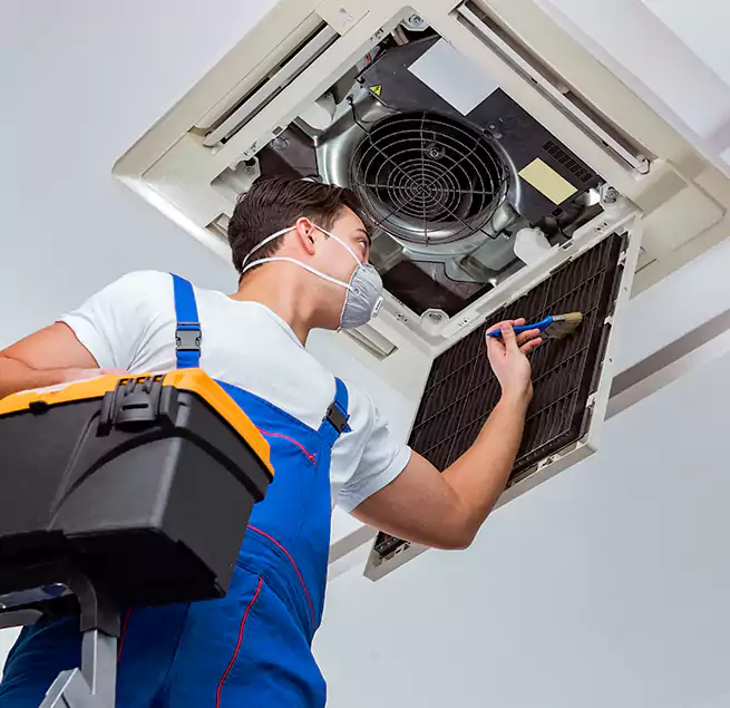 Why Homeowners & Businesses Trust Us in Tarpon Springs, FL?