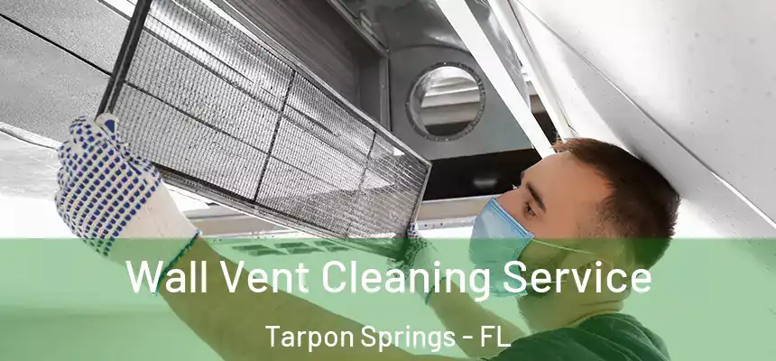 Wall Vent Cleaning Service Tarpon Springs - FL